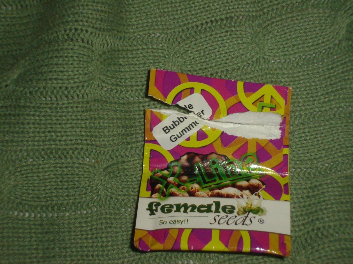 Just popped some bubblegum beans