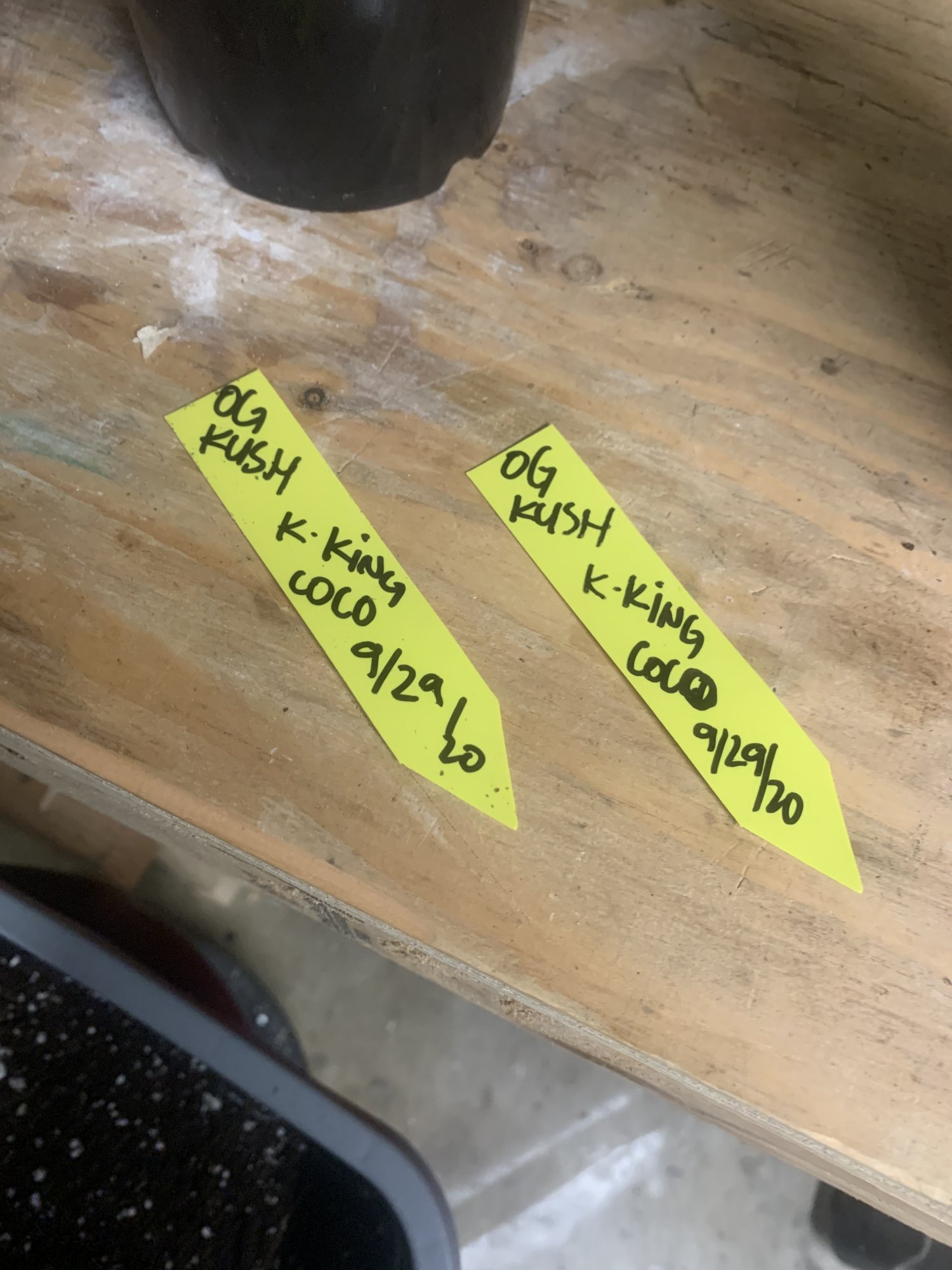 9A2D688C-E136-4FE2-A019-3F9AA1A33C65.jpeg