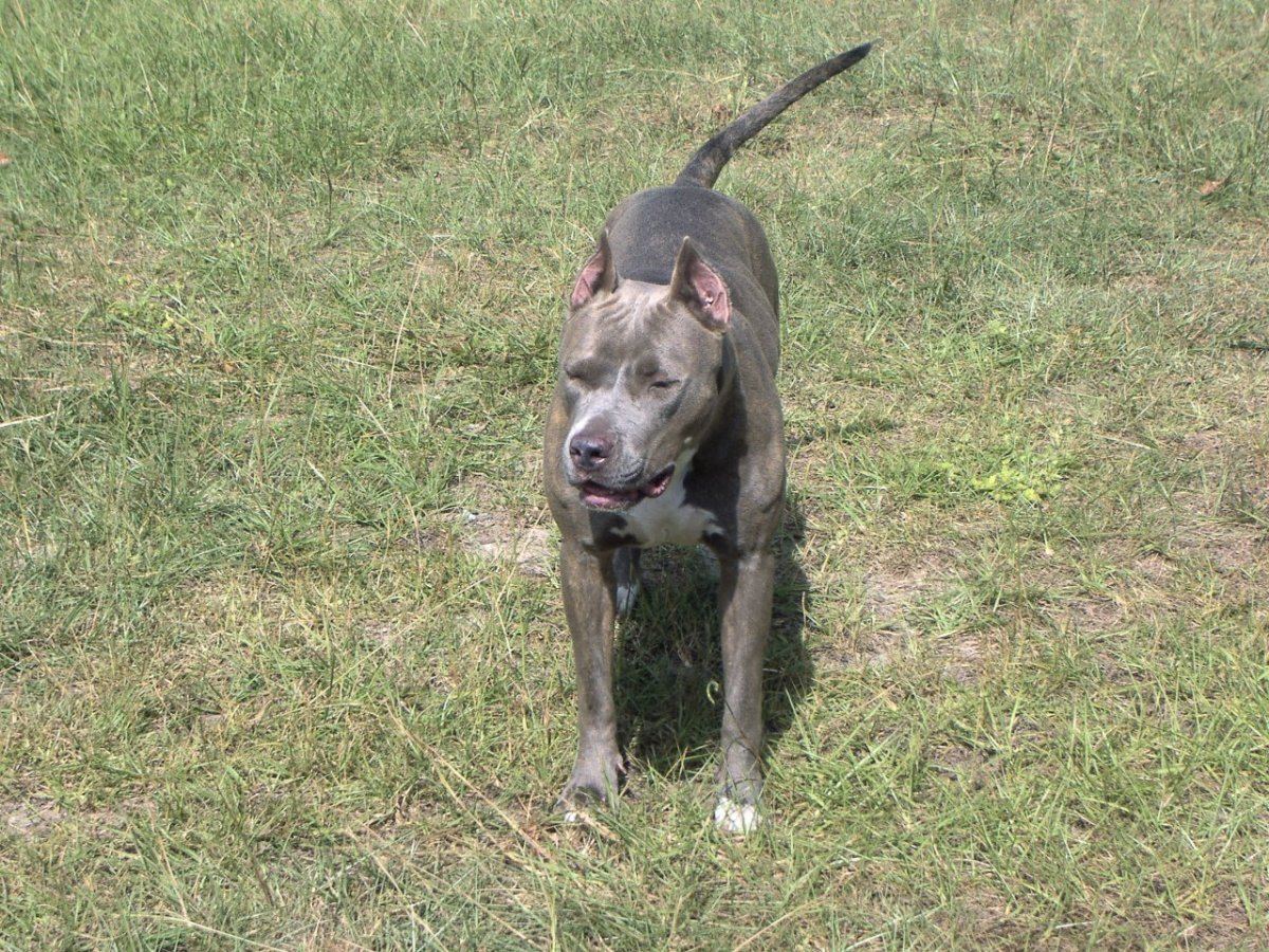 Kali outside 1