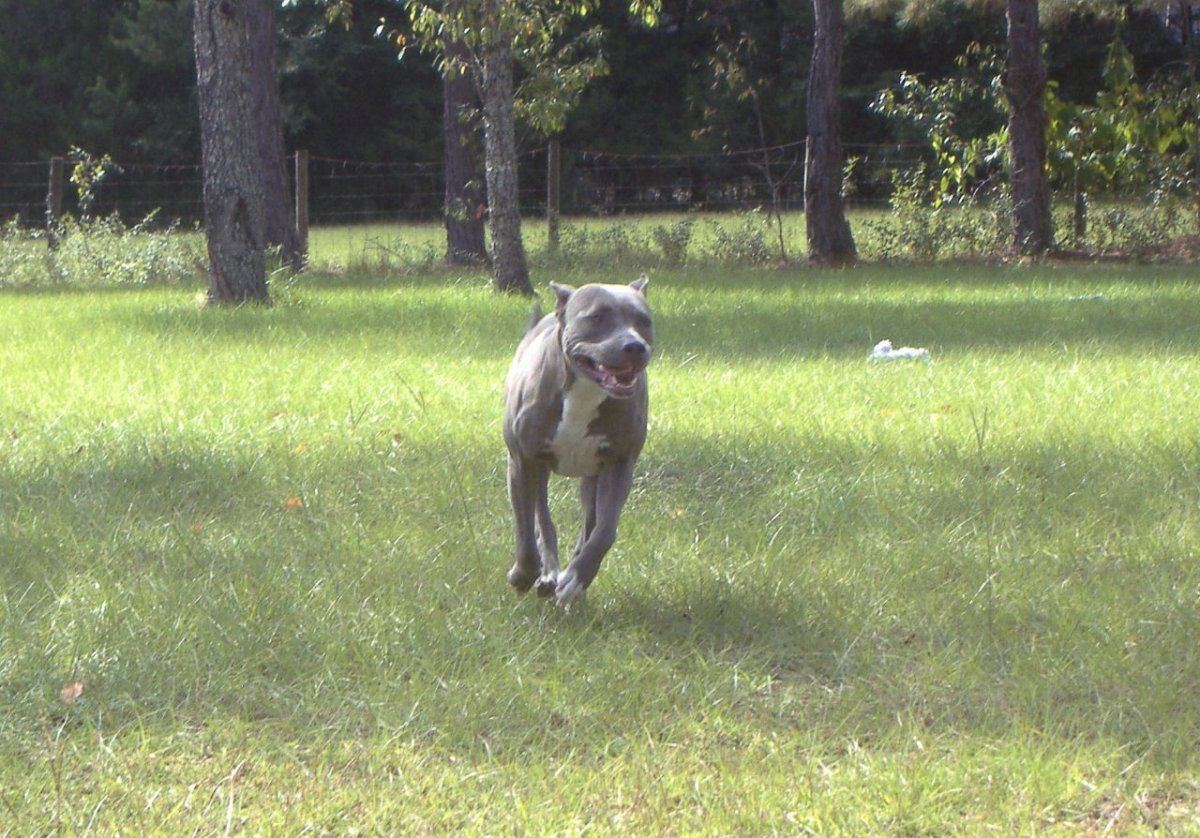 Kali outside 2