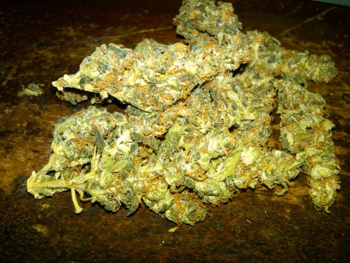 KandyKush