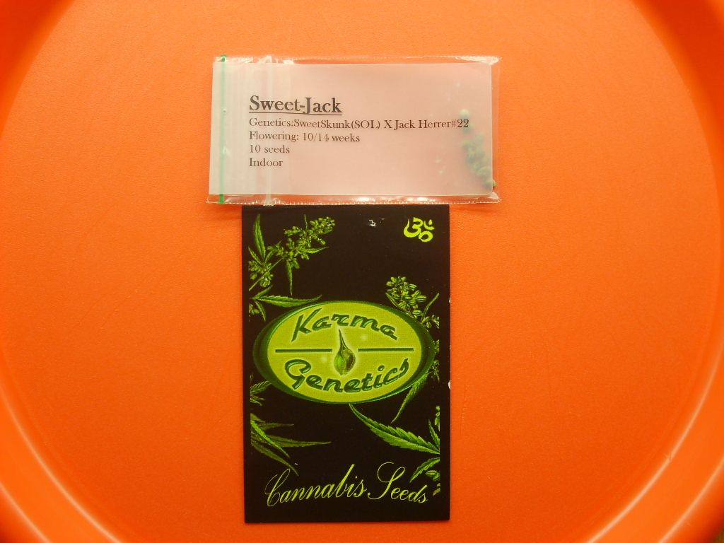 Karmas sweet jack test grow 009
