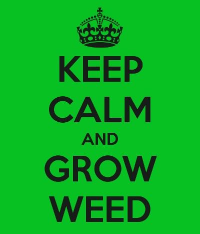 Keep calm and grow weed 16