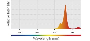 Kessil h80 to add uv and ir for flowering 4