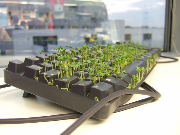 Keyboardseedstarter01