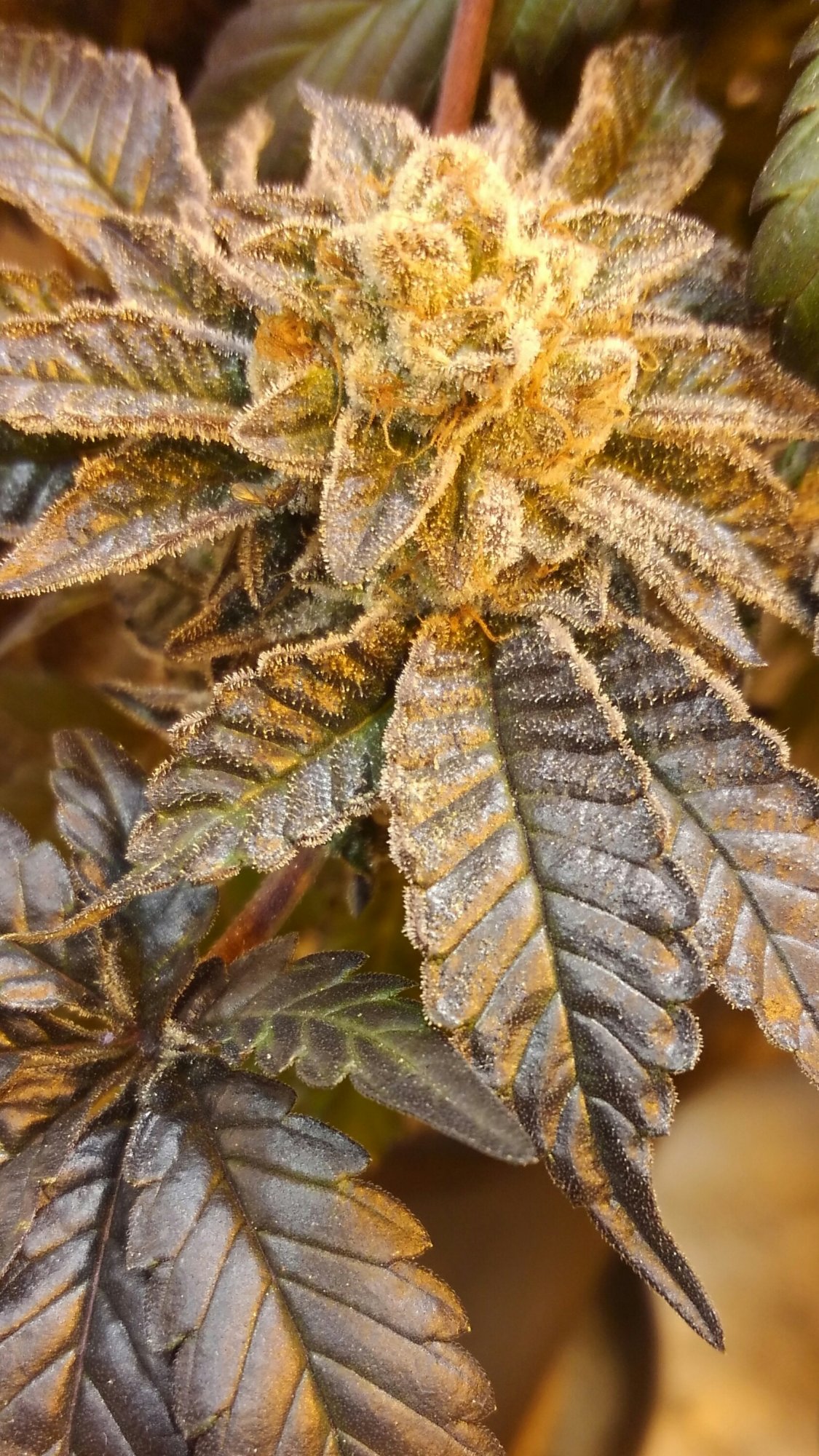 KIMG00282