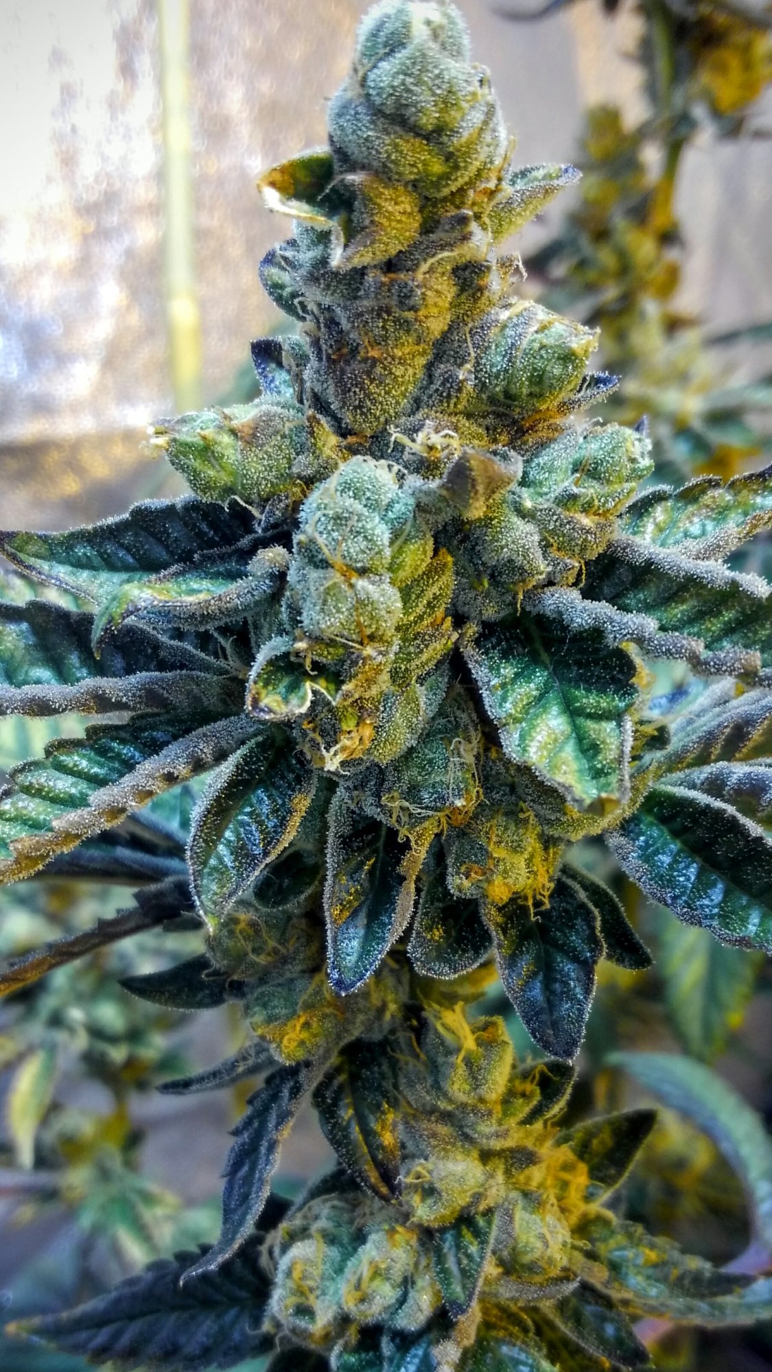 KIMG00292