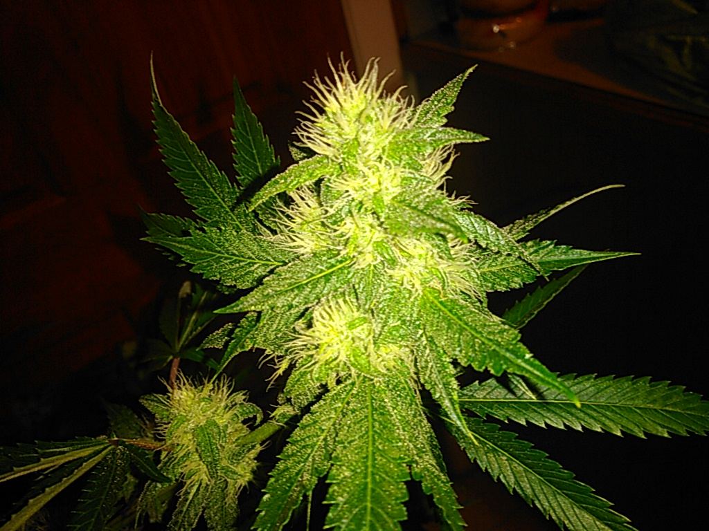 KIMG0032