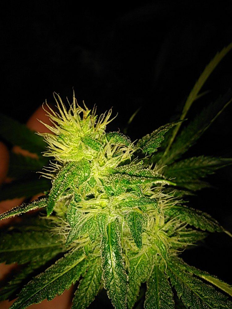 KIMG0034