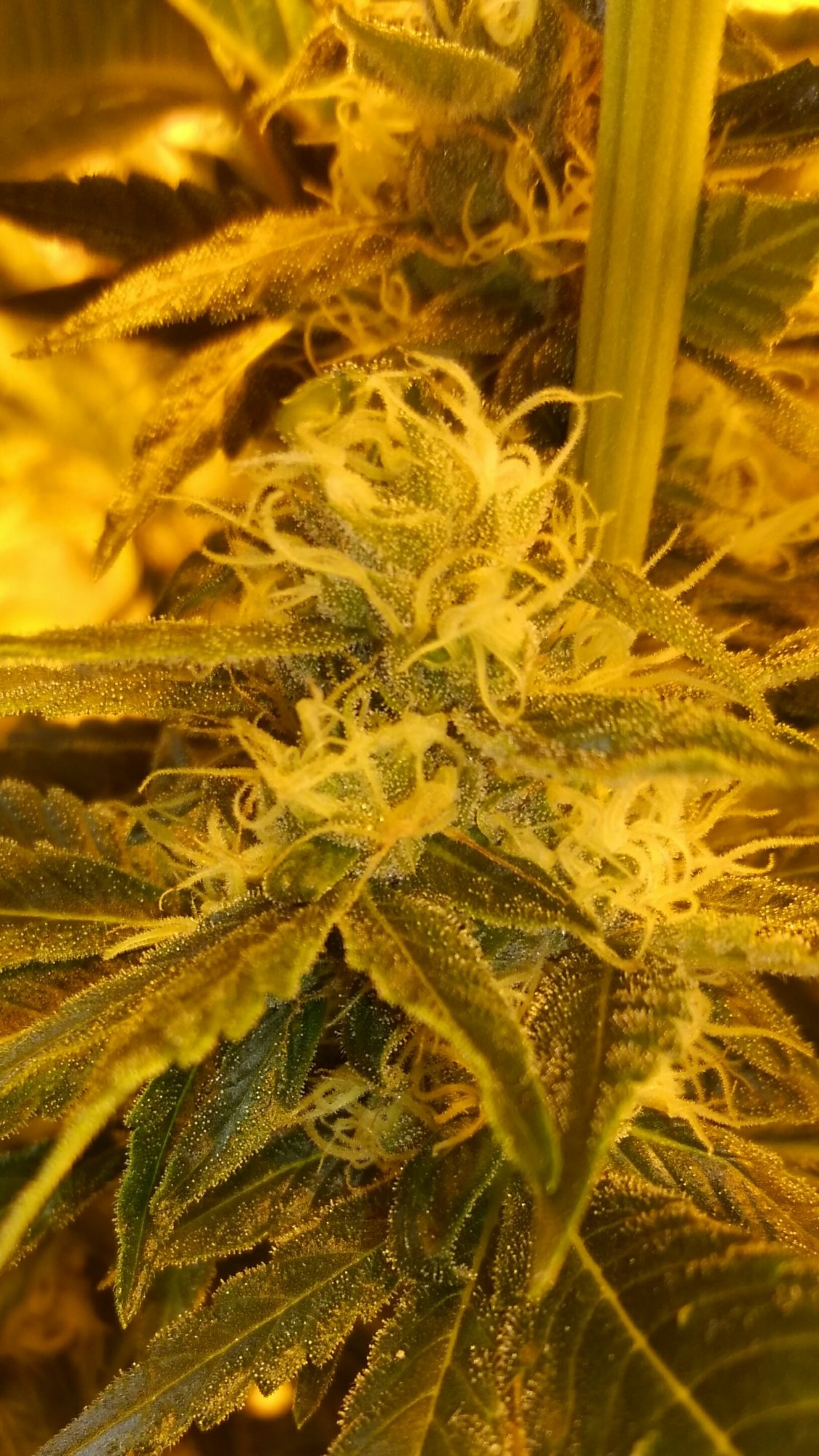 KIMG00382