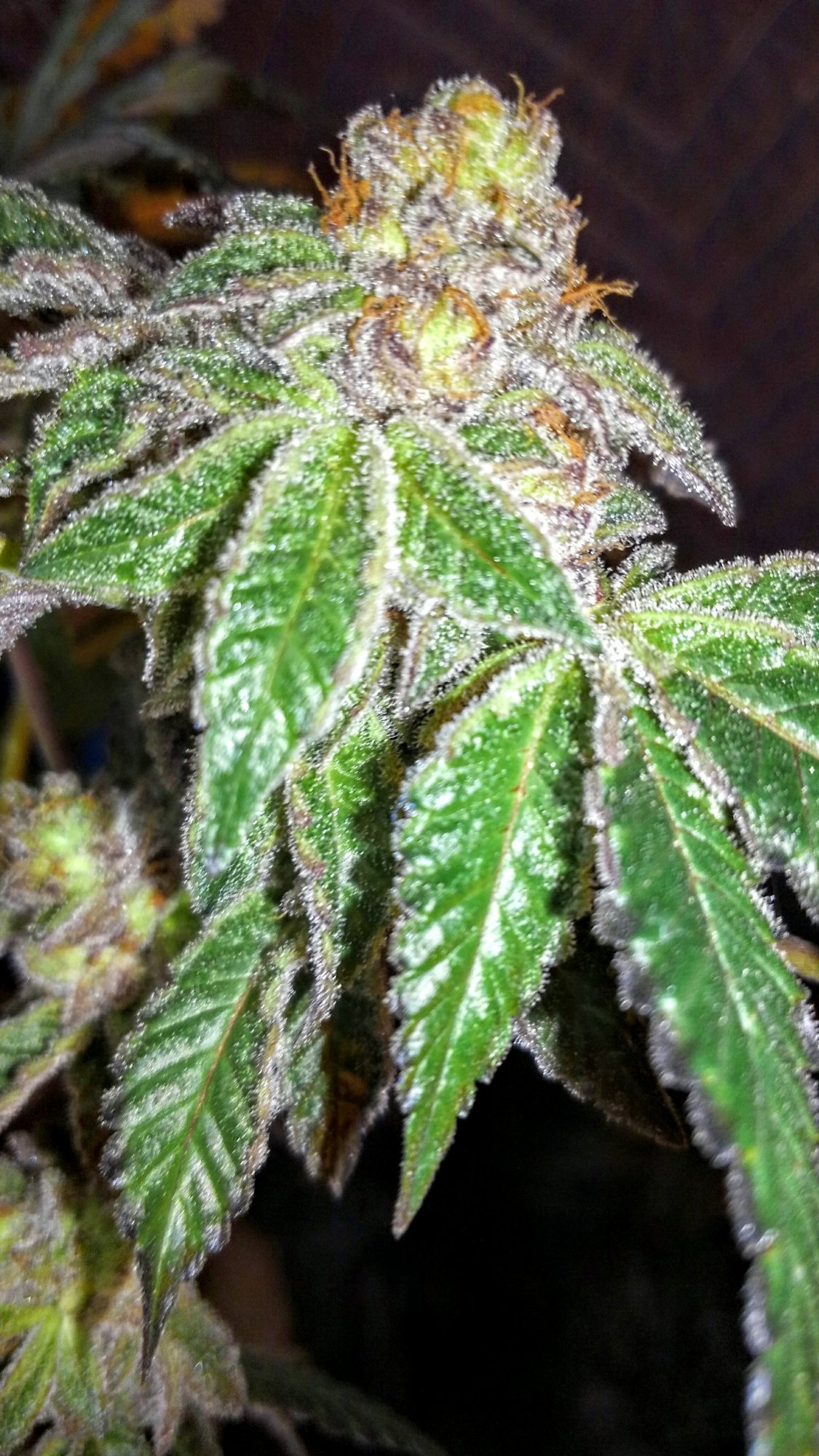 KIMG00392