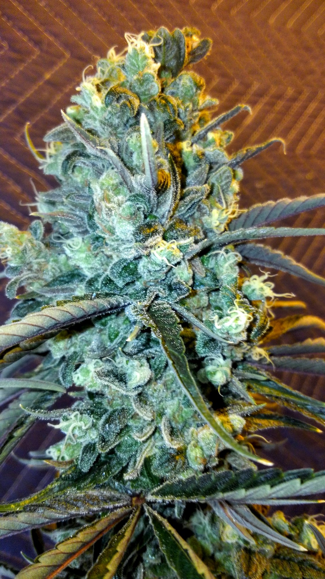 KIMG00432