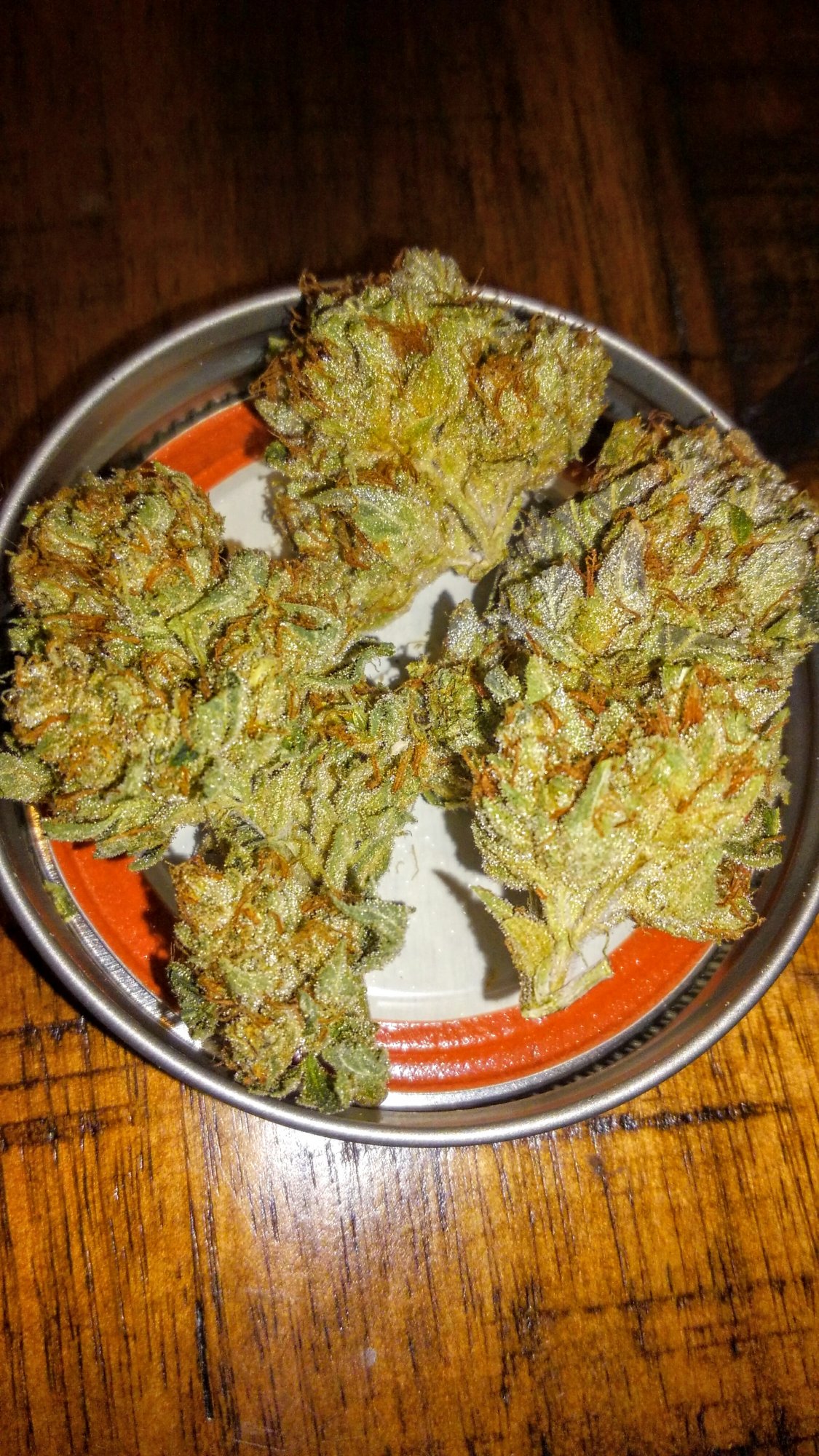 KIMG00902