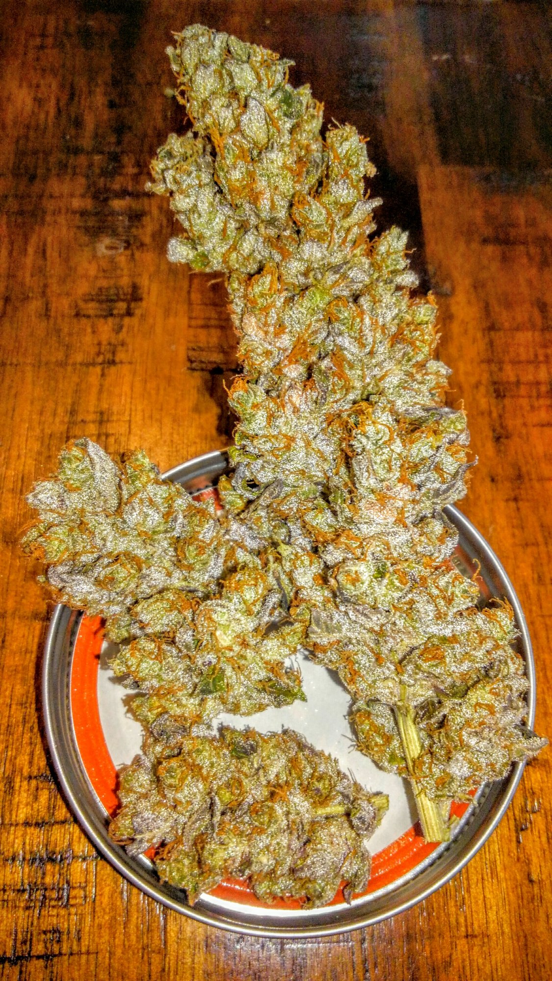 KIMG01003