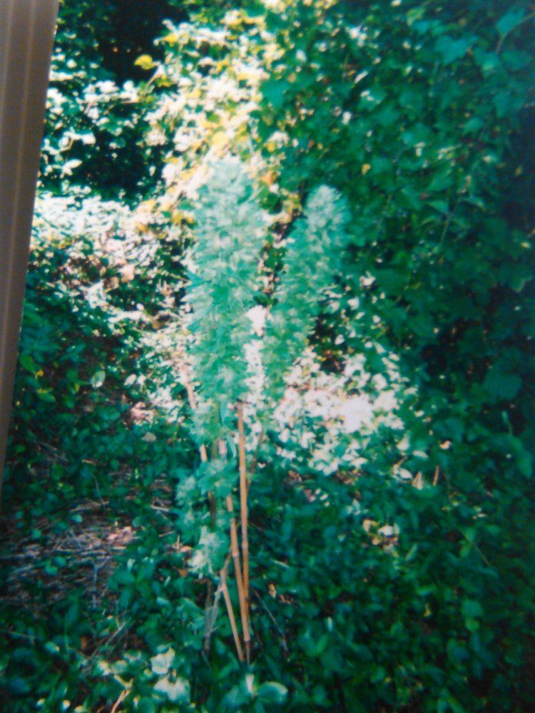 KIMG0108
