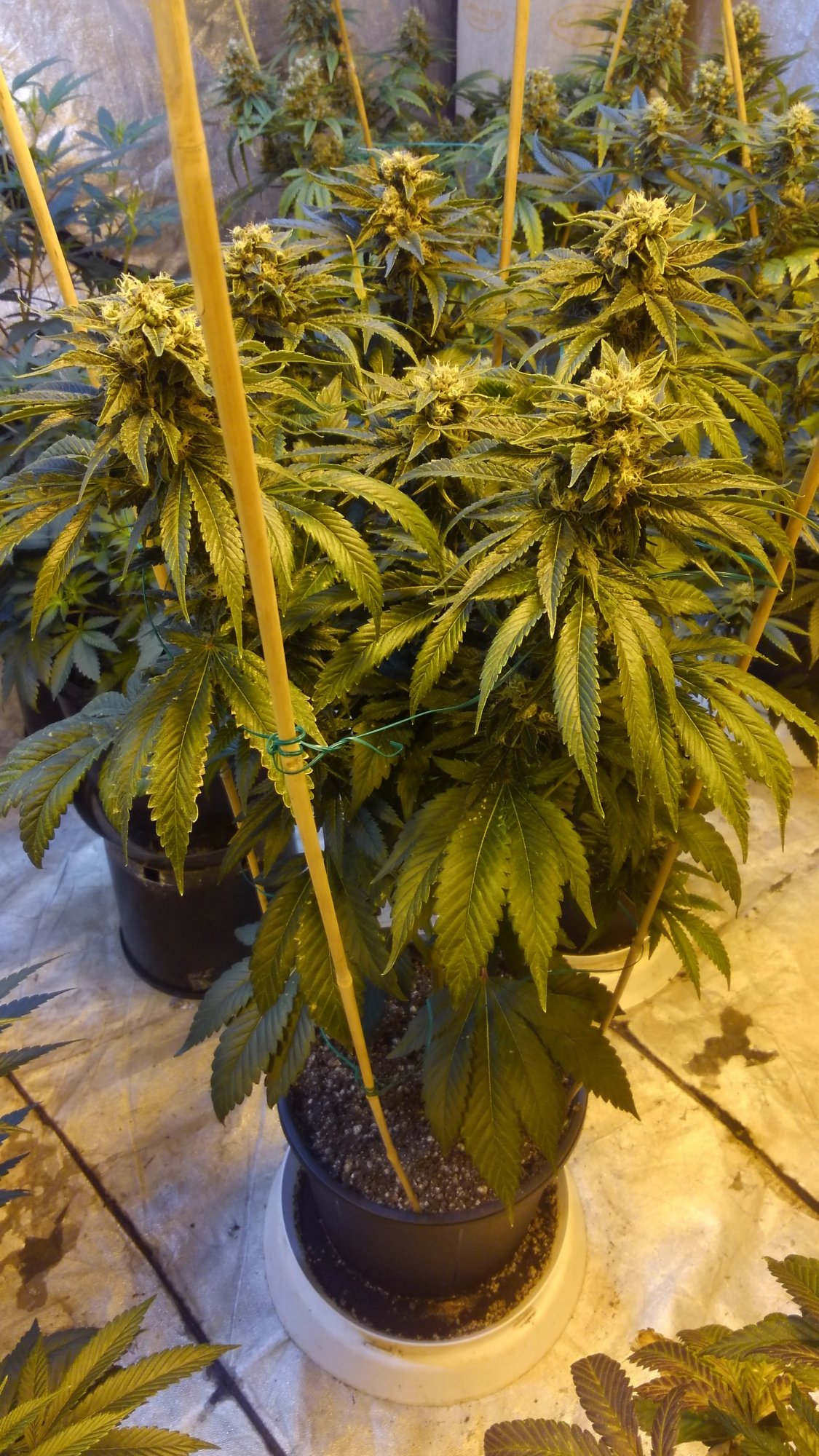 KIMG0109