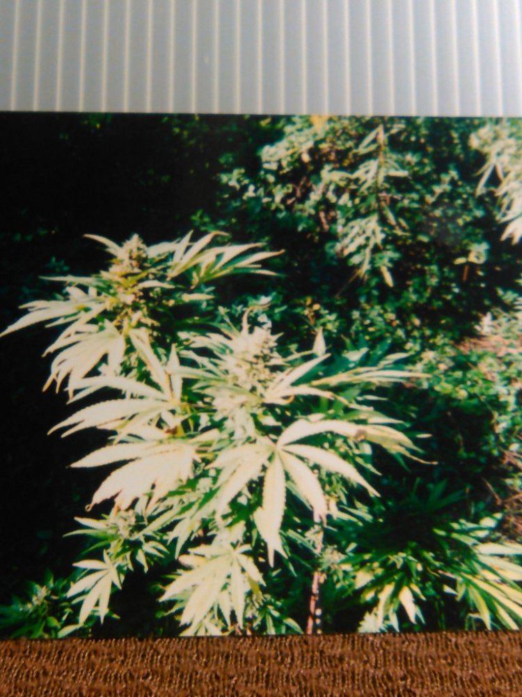 KIMG0109