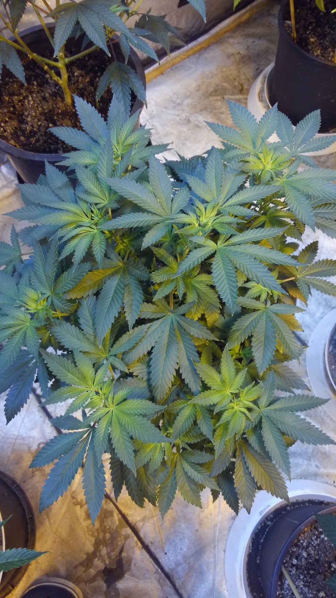 KIMG0111