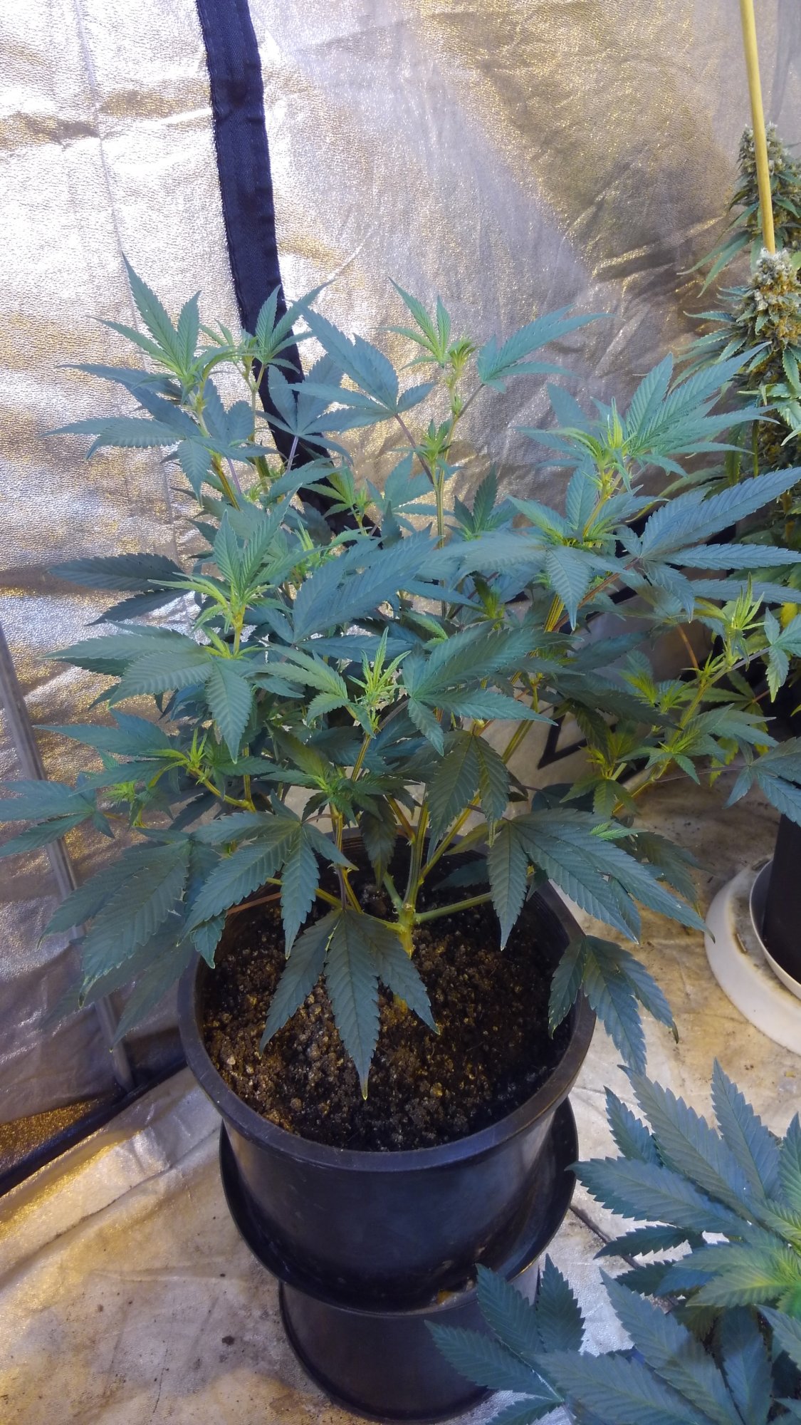 KIMG0118