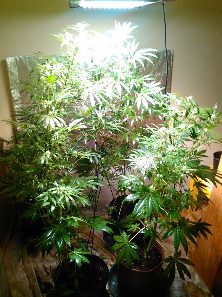 KIMG0308