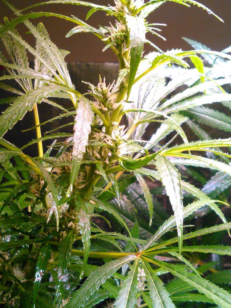 KIMG0309