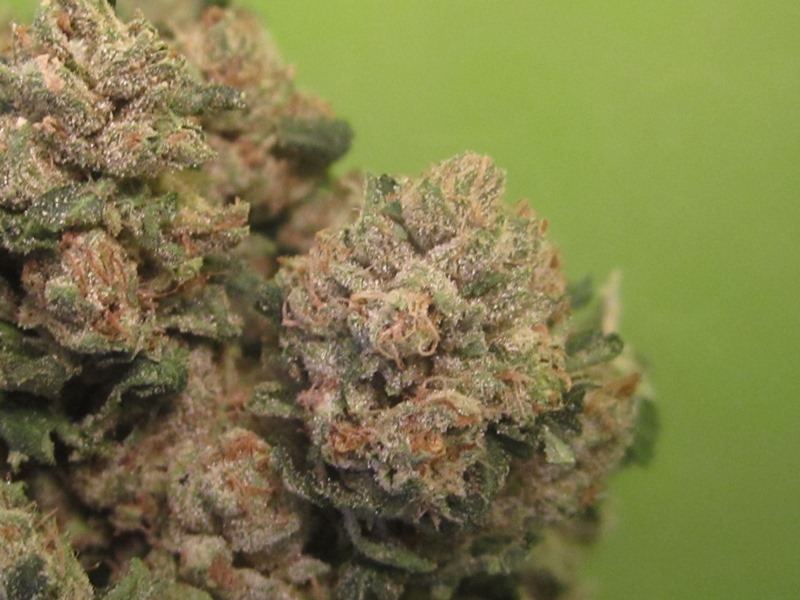 King Louie OG