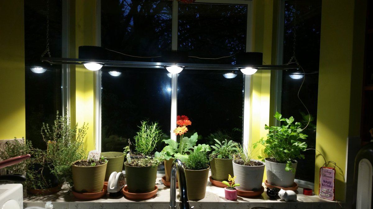 Kitchen Window