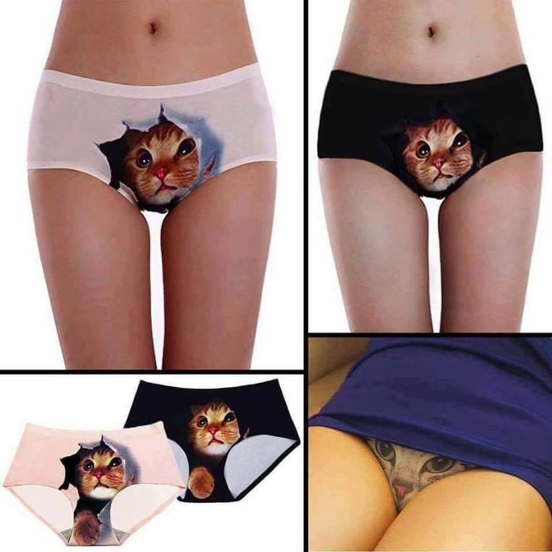 Kitty