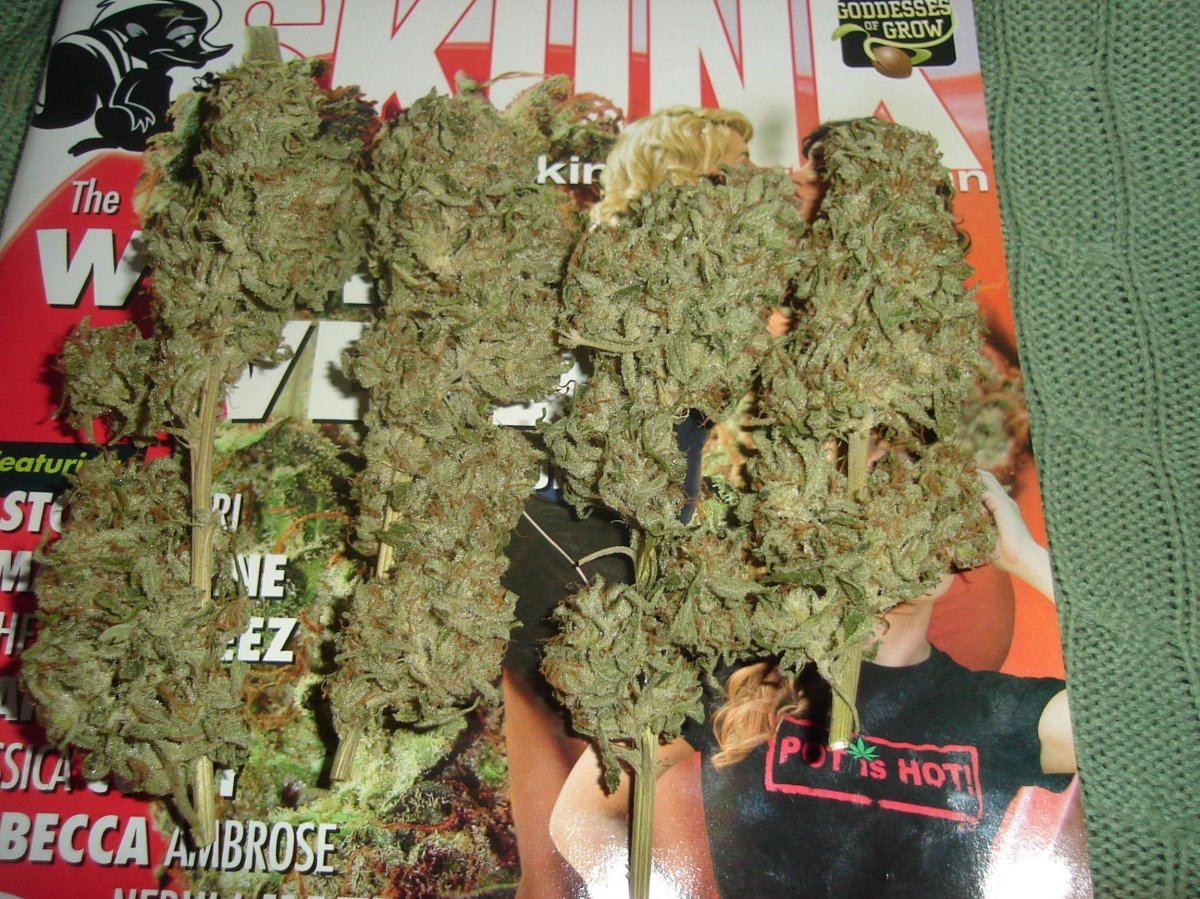 Kksc x the whitedried nugsss