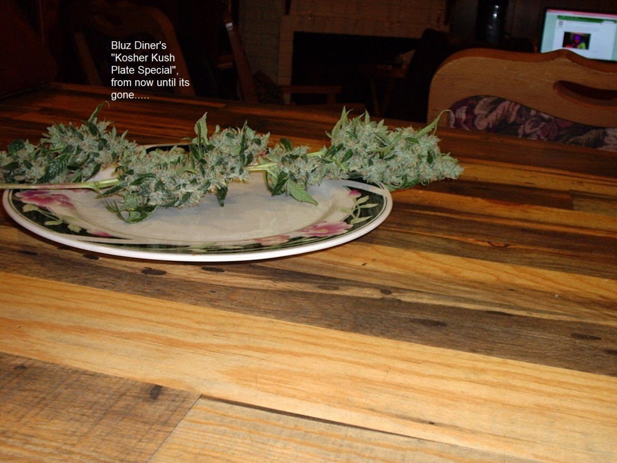 KosherKushPlateSpecial 01a