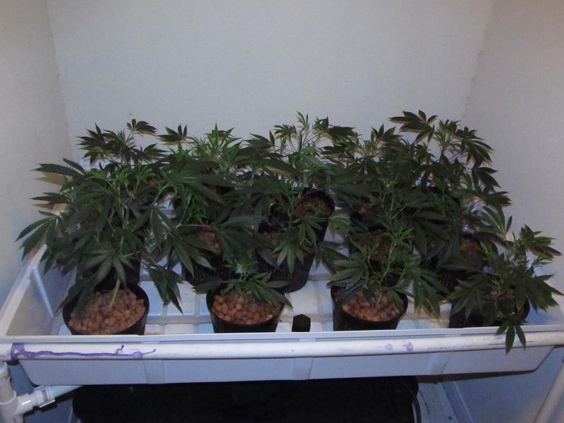KP hydro