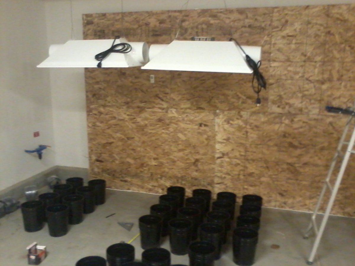 Kryptonite under construction 6