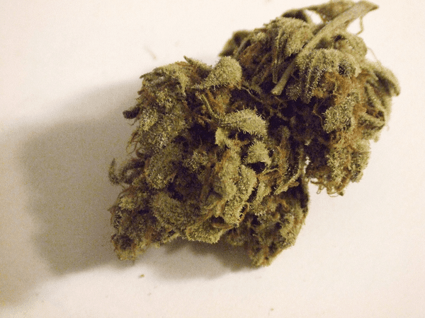 Kushberry2