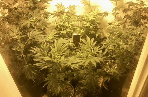 Ladies13days111017