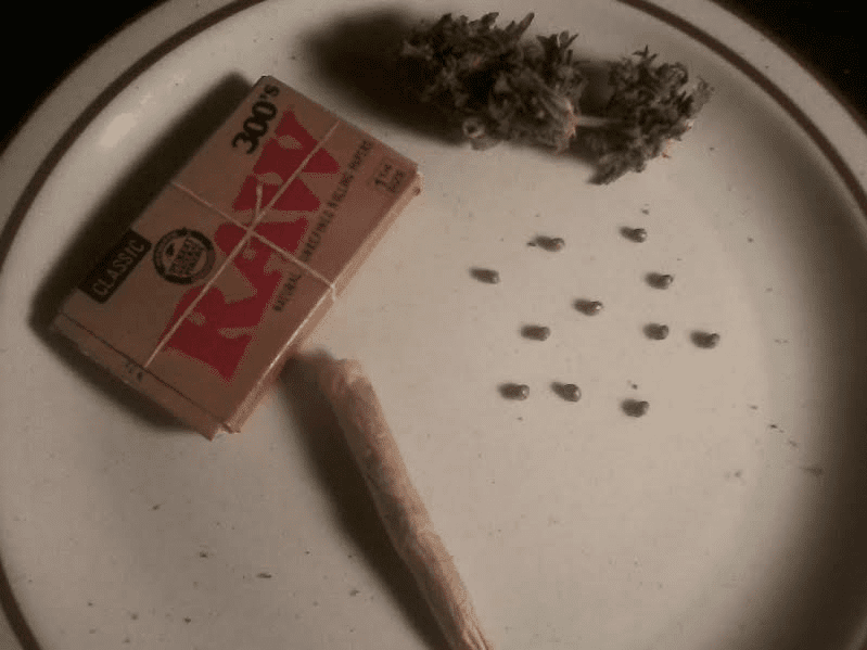 LadyLionHearthitHyperGlue52617