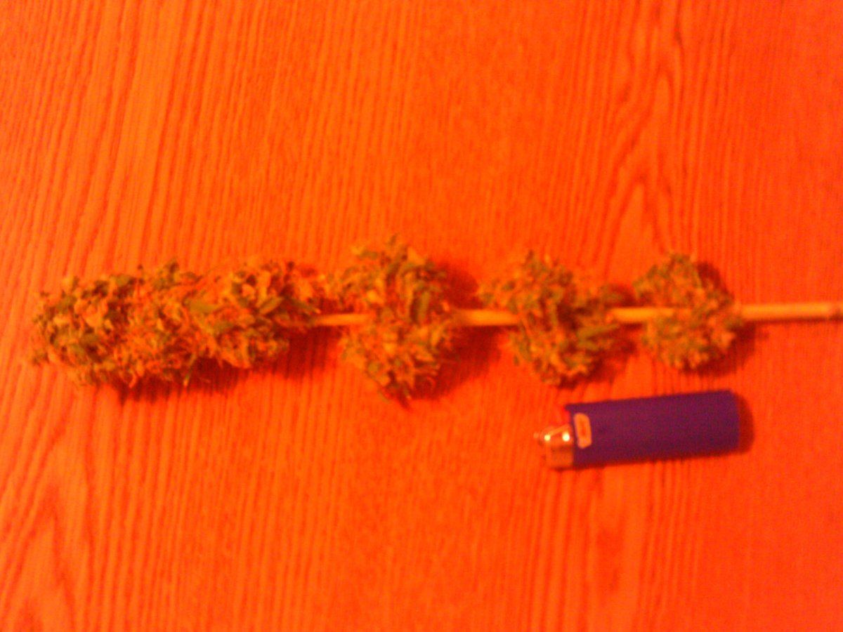 LadyRedEyes66days