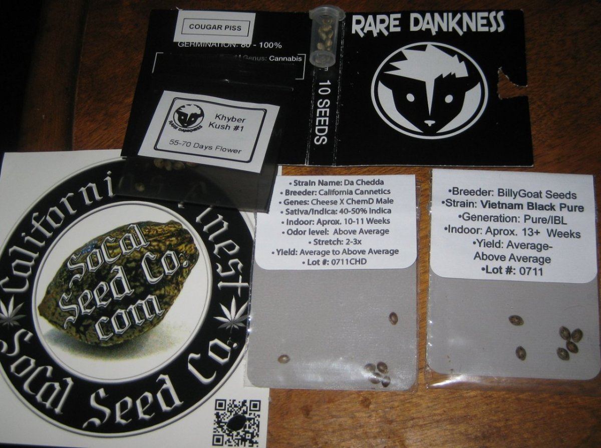 LAHT 2013 seeds