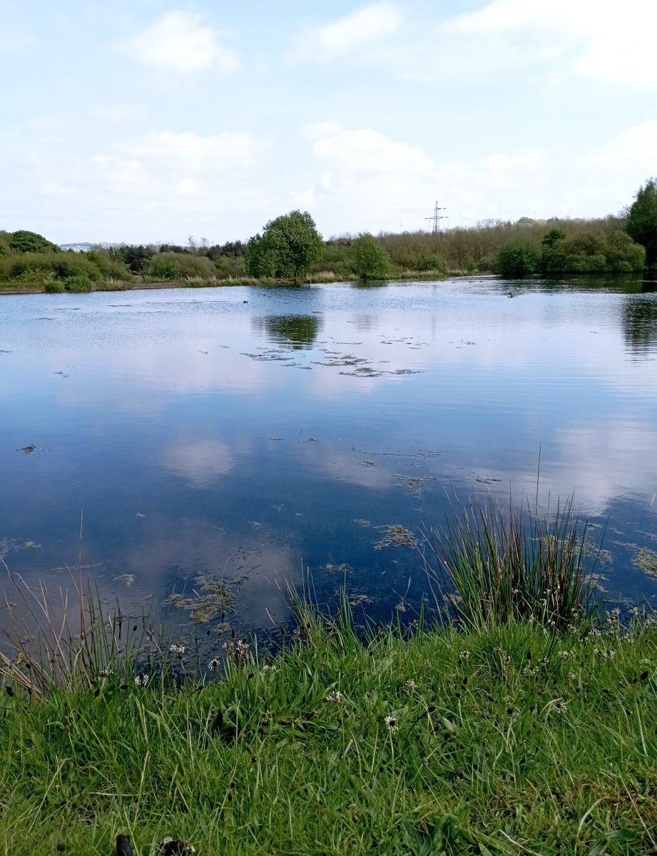 Lake