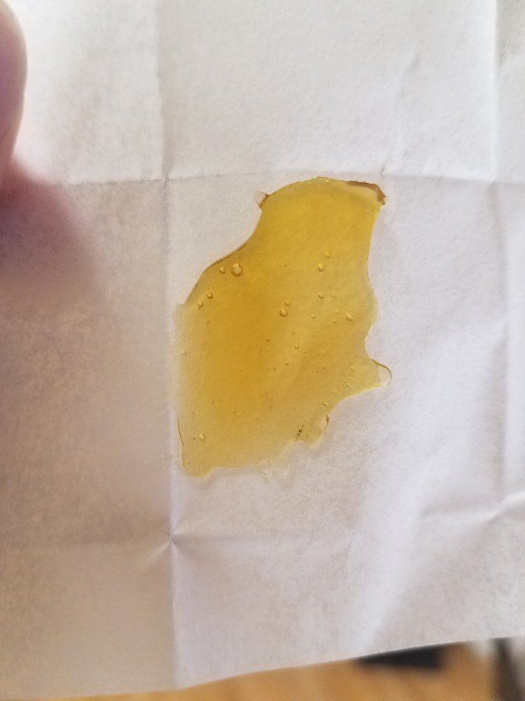 Lakeshore extracts