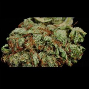 Landos Stash