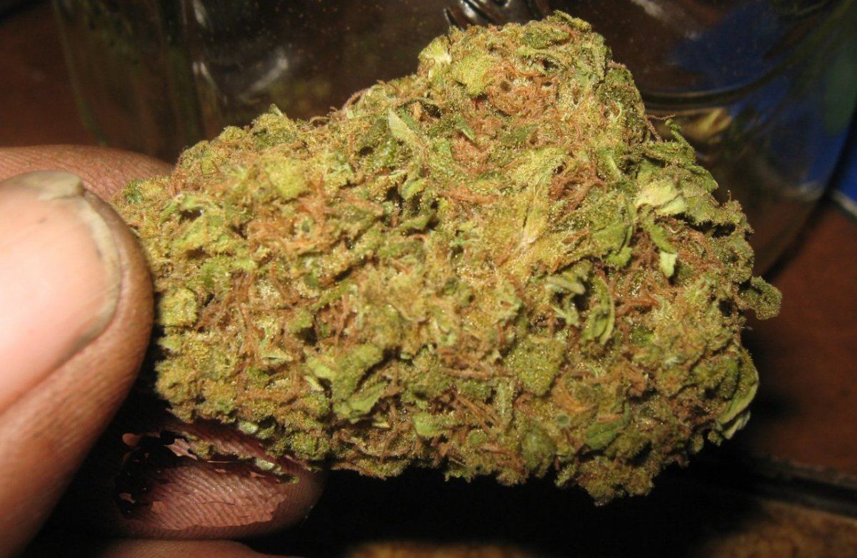 Lastewokbud2