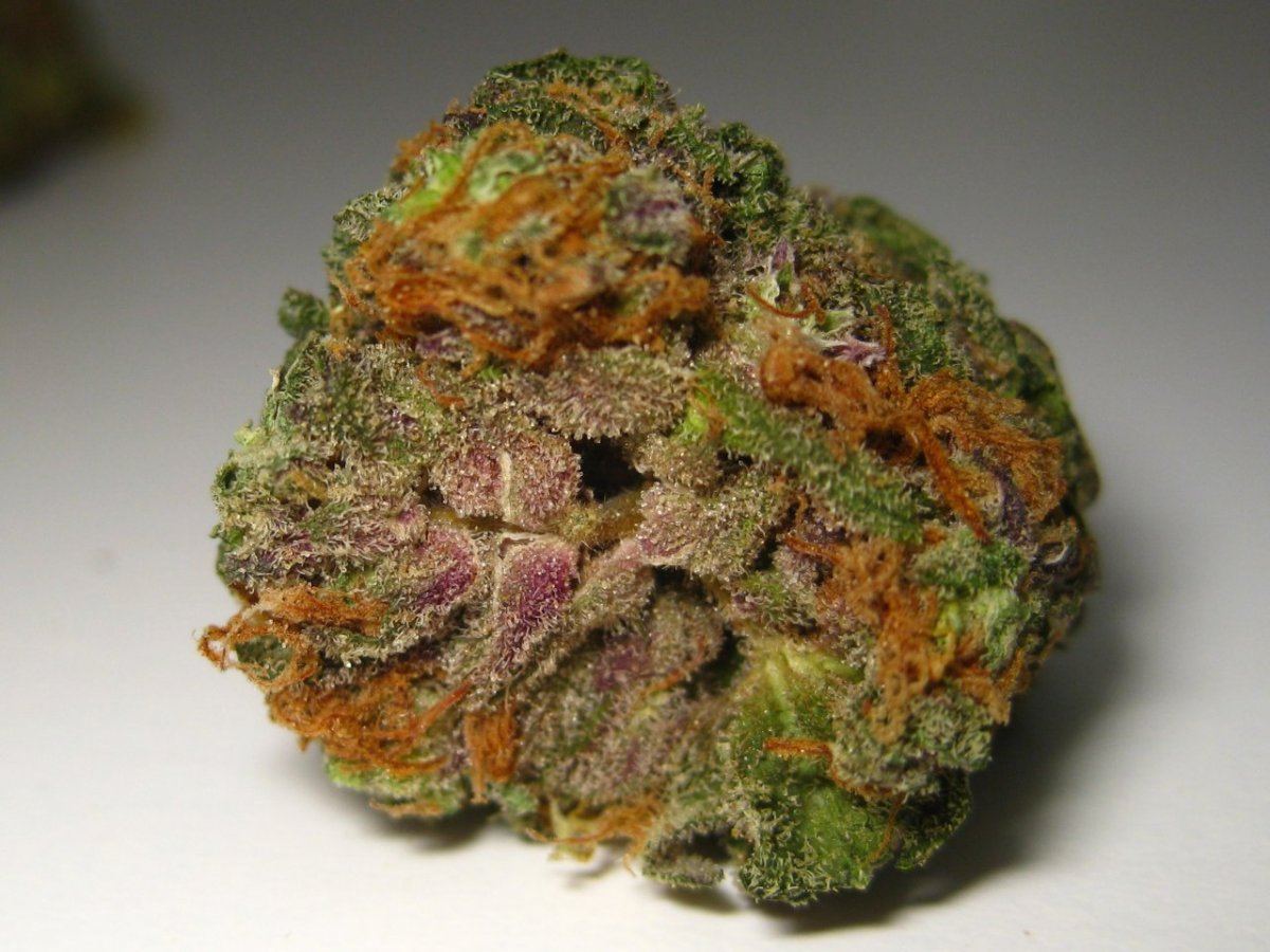 Lavenderr