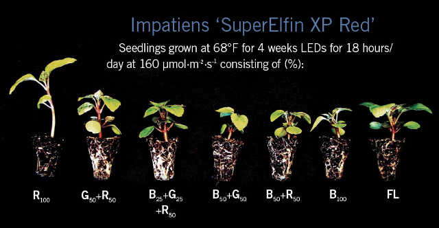 LED Figure1 1