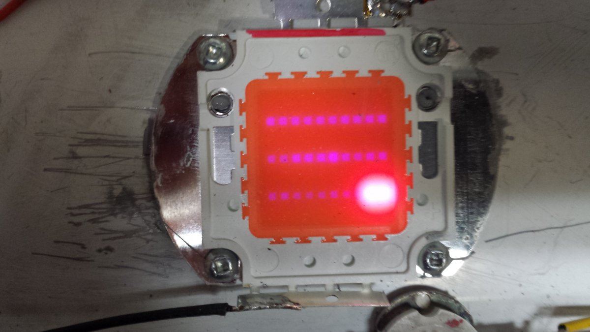 LED grow 3
