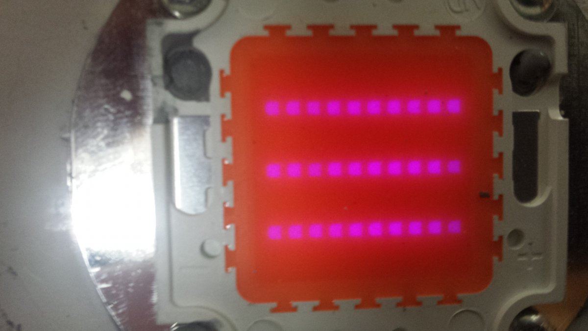 LED grow 4