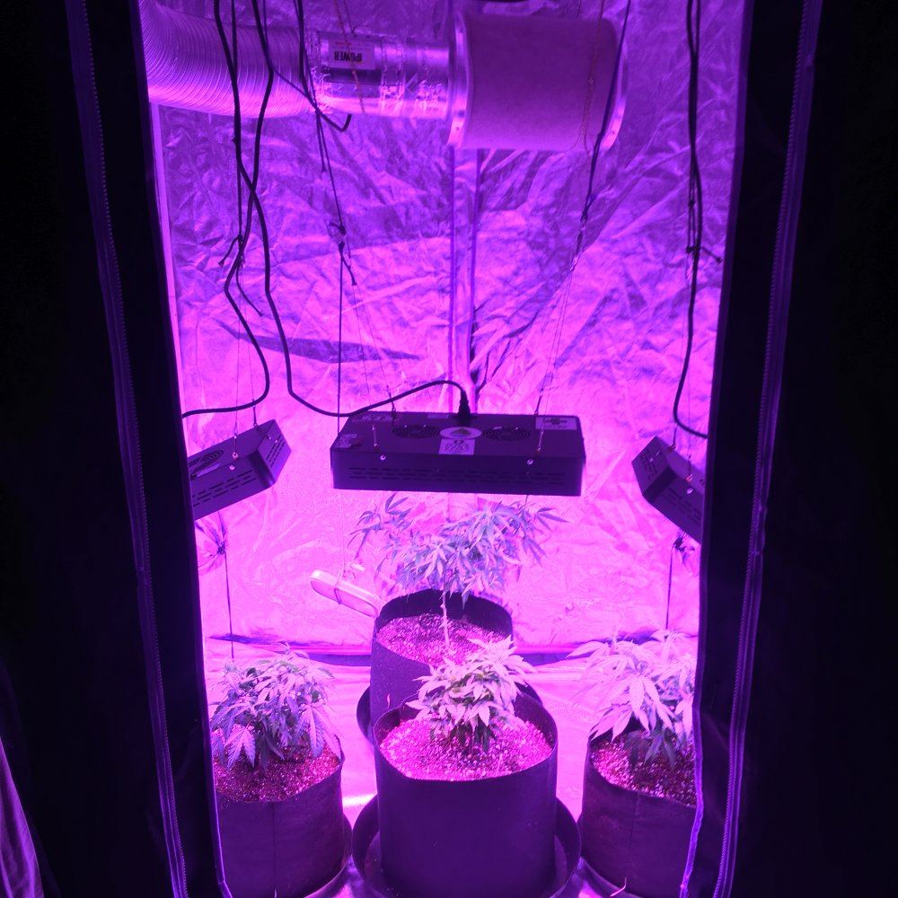 Led grow