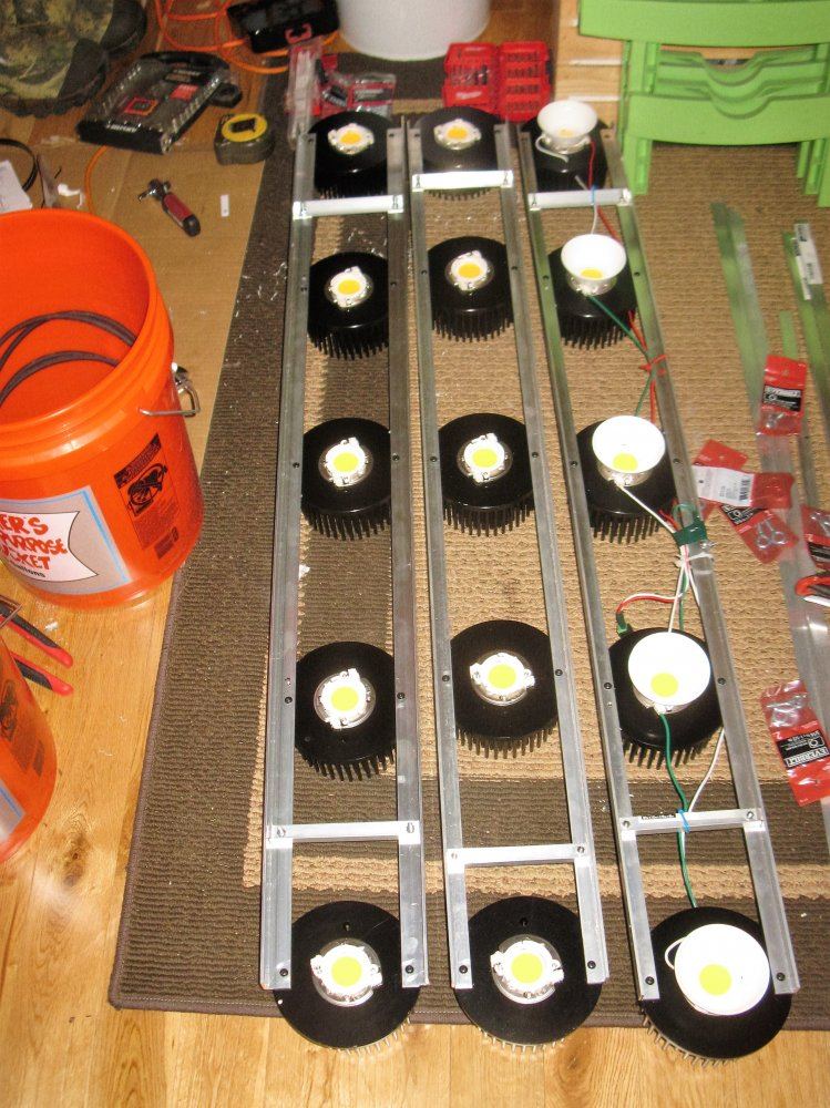 Led  IMG 0847