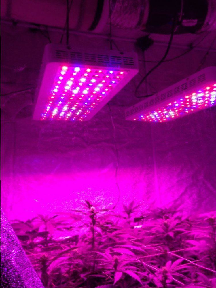 Led