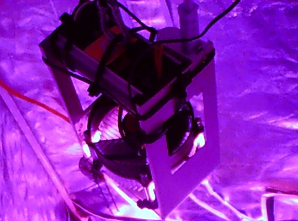 LED