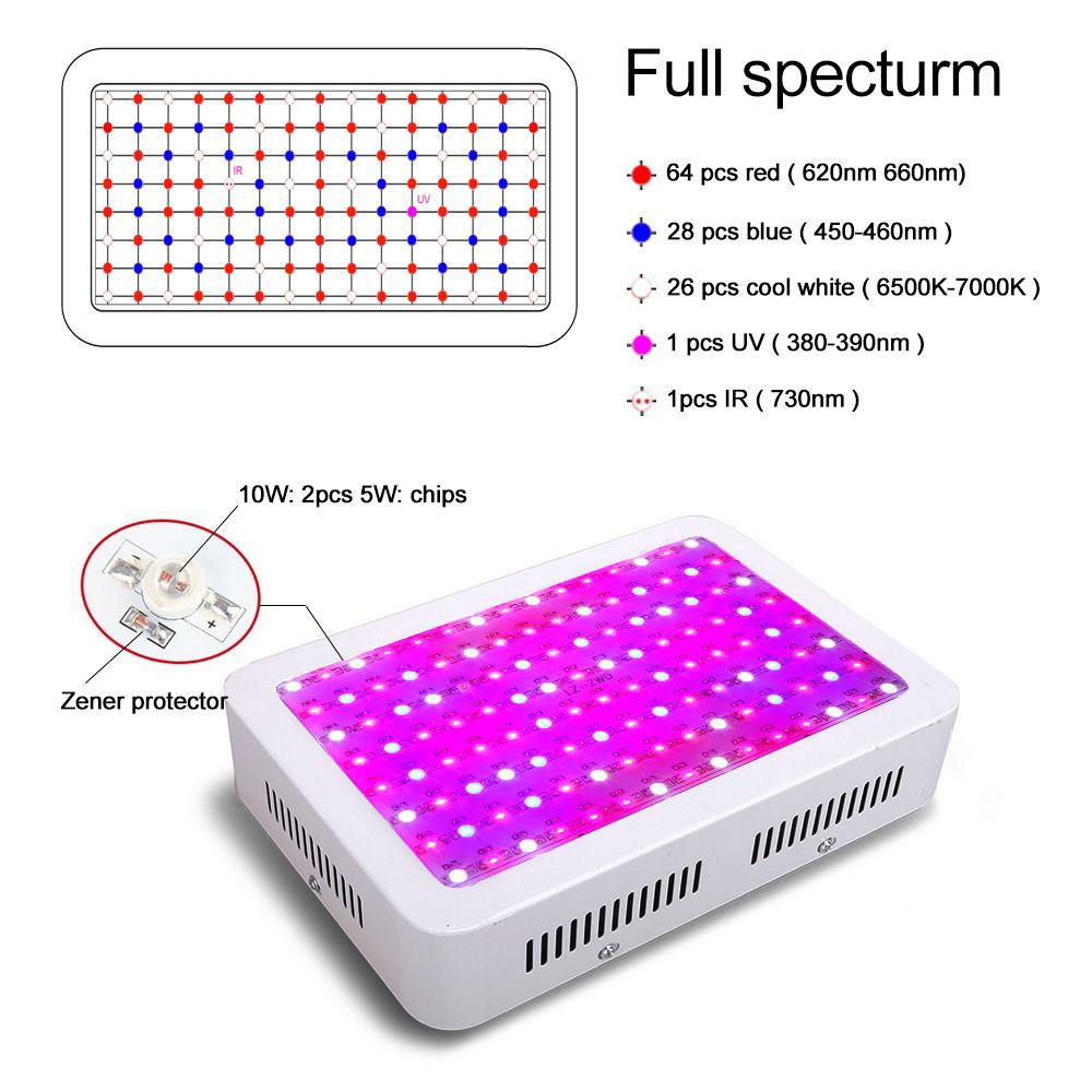 LED